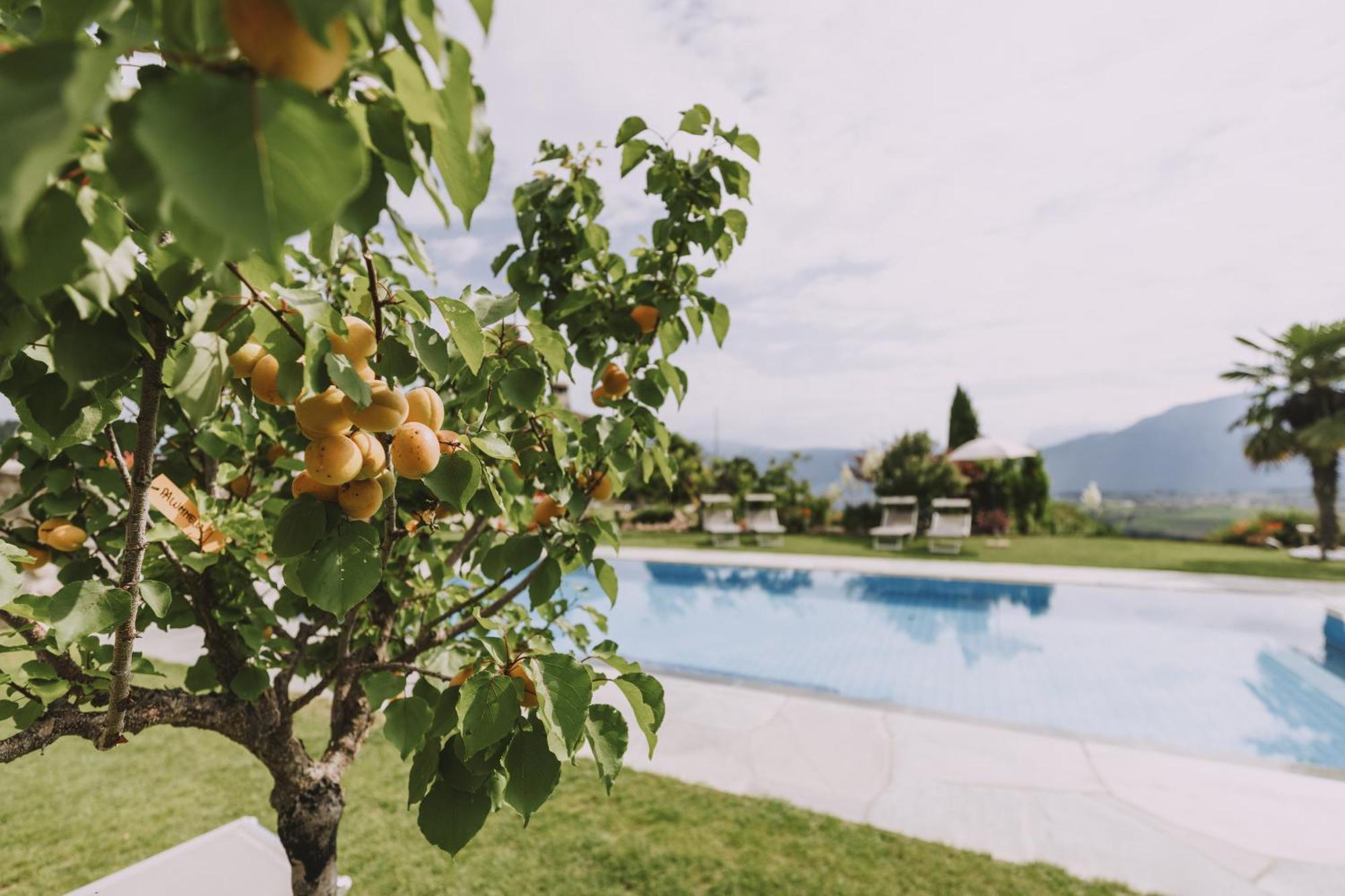 Weinberghof Farm stay
